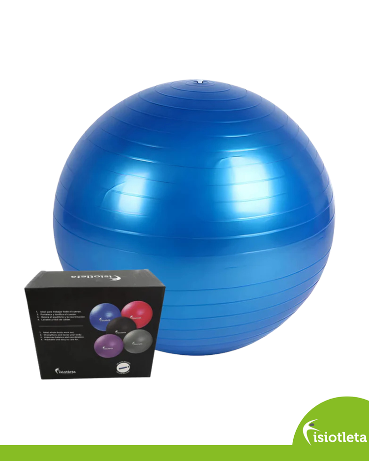 Kit de Propiocepción Fisiotleta Disco de Balance + Pelota Yoga/Pilates + Medio Cilindro tipo tronco de propiocepción 45 cm