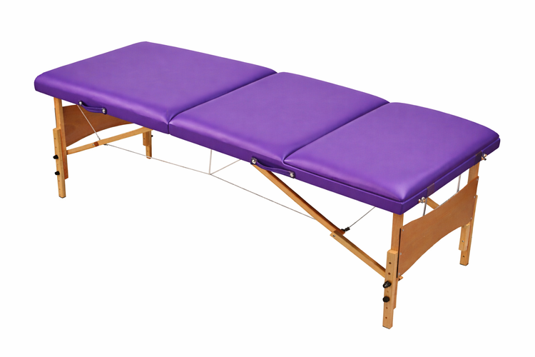 Cama de Masaje Camilla para Fisioterapia y Terapia Física | Profesional Plegable y Ajustable