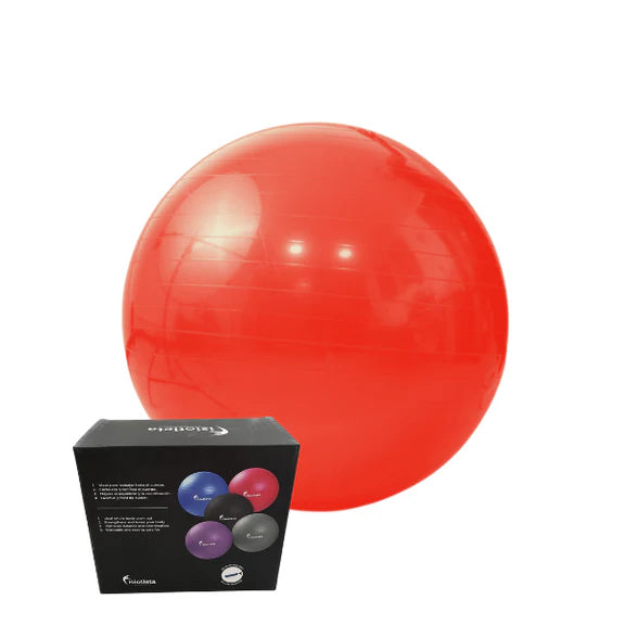 Pelota de Yoga y Pilates 55 cm Fortalece, Equilibra y Mejora tu Postura